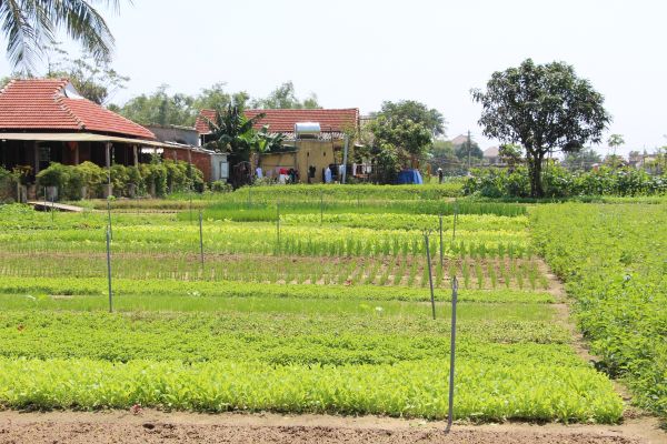 HOI AN ECO & CULINARY TOUR